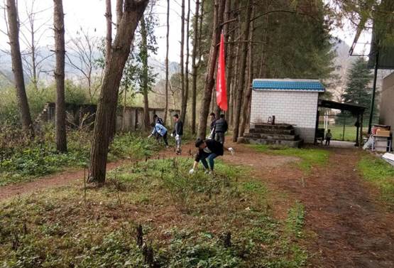 QQ图片20180320230805