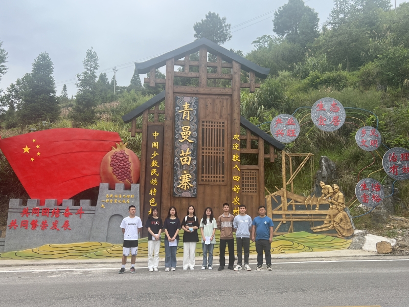 活力团支部:服务乡村振兴项目调研